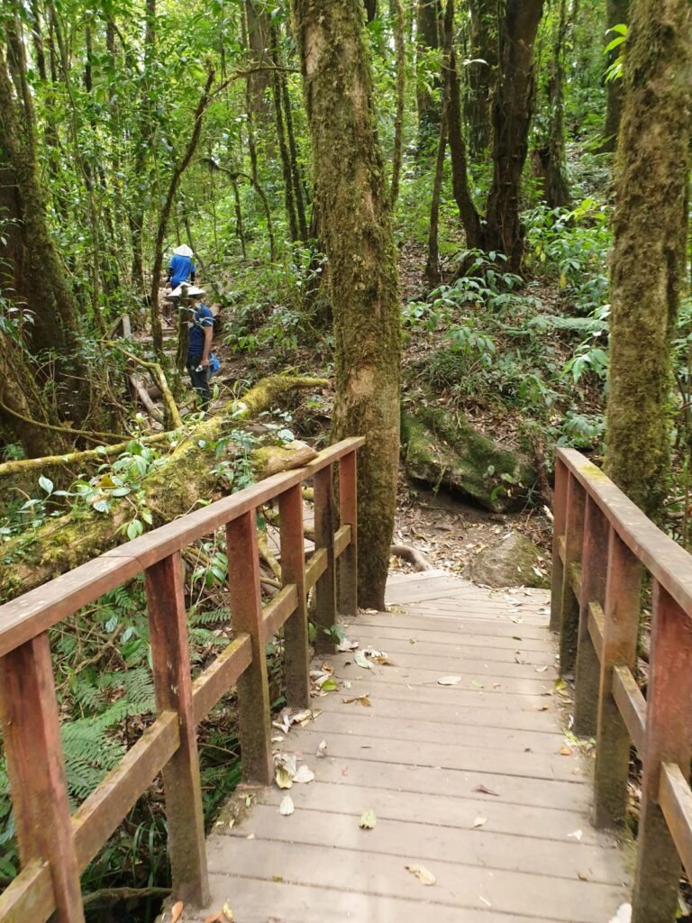 Doi Inthanon National Park and Temple, Chiang Mai — photo 4