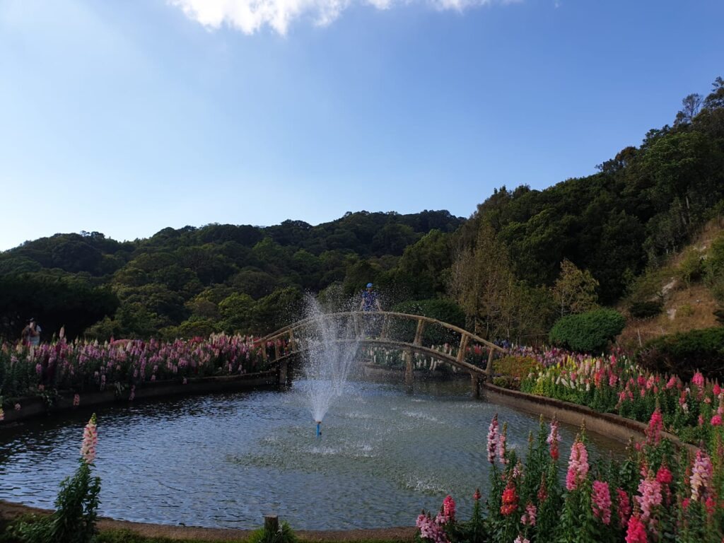 Doi Inthanon National Park and Temple, Chiang Mai — photo 5